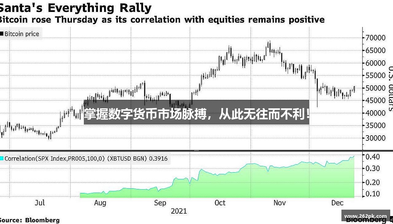 掌握数字货币市场脉搏，从此无往而不利！
